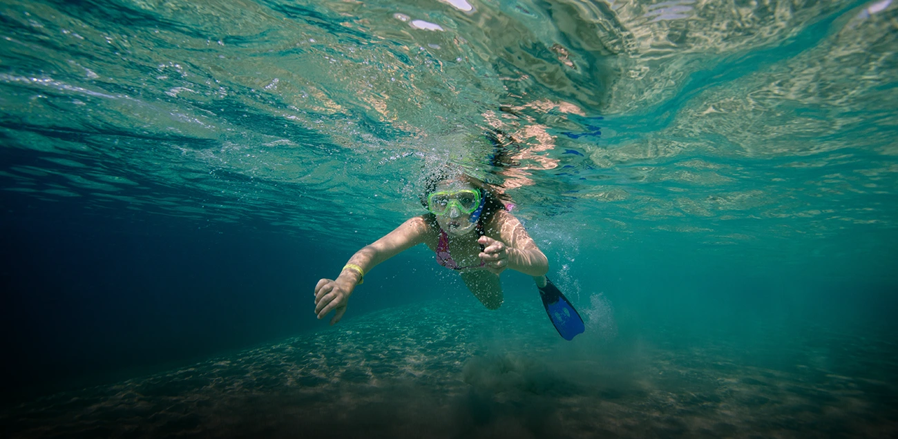 Plongée en snorkeling